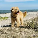 Pangani Teichhof Fehmarn