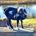 Pangani Teichhof Fehmarn * Wenkendorf