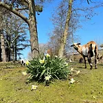 Pangani Teichhof Fehmarn