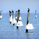 Pangani Teichhof Fehmarn *