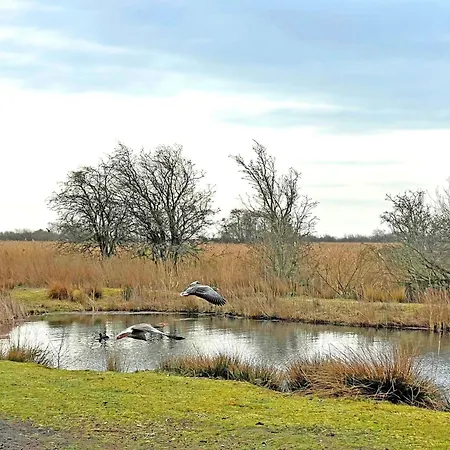 Pangani Teichhof Fehmarn Apartament