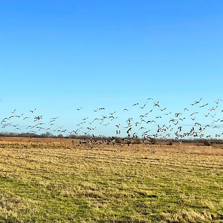 Pangani Teichhof Fehmarn Apartament Wenkendorf