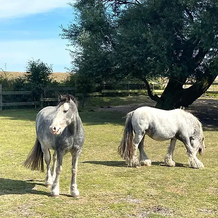 Pangani Teichhof Fehmarn Lägenhet *