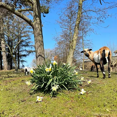 Pangani Teichhof Fehmarn
