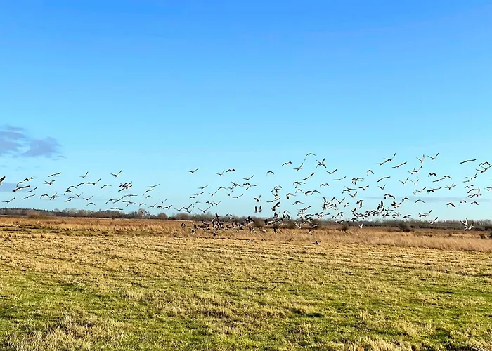 Pangani Teichhof Fehmarn Lägenhet Wenkendorf