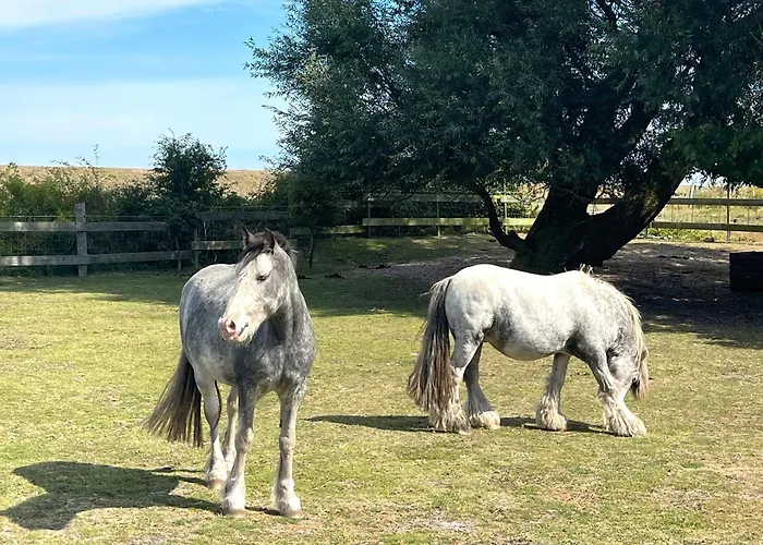 Pangani Teichhof Fehmarn Lägenhet *