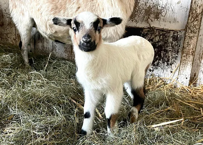 Pangani Teichhof Fehmarn Lägenhet Wenkendorf