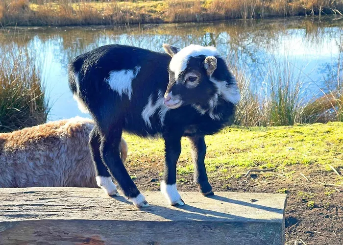 Pangani Teichhof Fehmarn * Wenkendorf