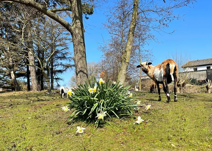 Pangani Teichhof Fehmarn