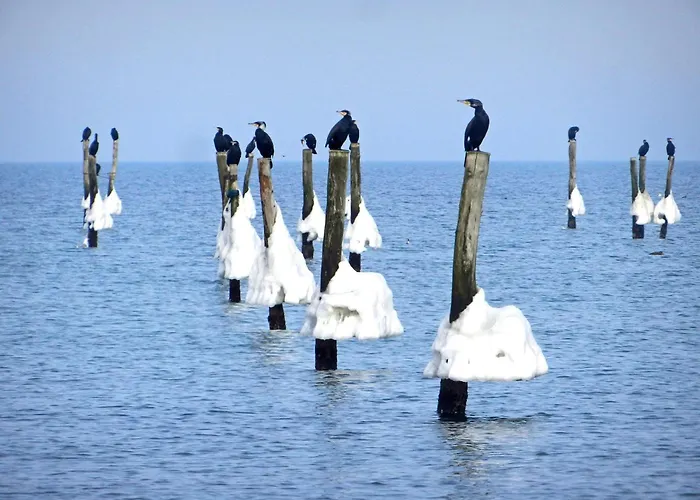 Pangani Teichhof Fehmarn *